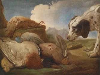 Ein Jagdhund, erlegtes Wildgeflügel beschnuppernd